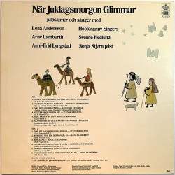 Bengt Sändh & Rune Andersson 1975 YTF-40121 Svenska Follkets Supvisor Used LP