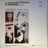 Kissing The Pink Love Lasts Forever maxi-single - Käytetty 12”