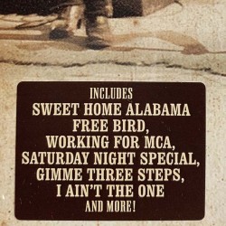 Lynyrd Skynyrd : Sweet home Alabama 2LP - uusi LP