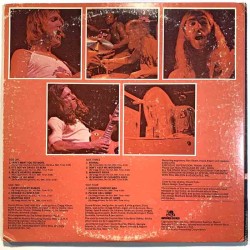 Allman Brothers Band 1974 2CX 0132 Beginnings 2LP Begagnat LP