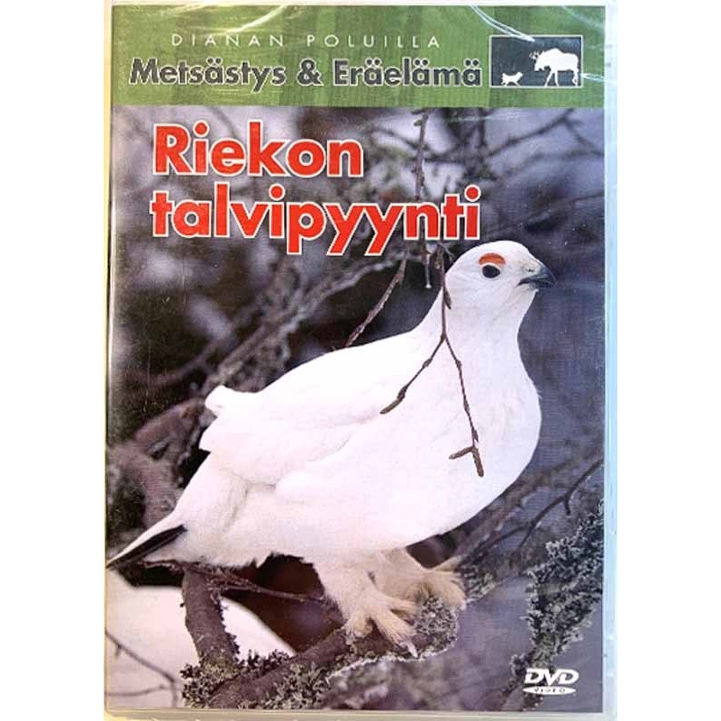 DVD - Elokuva: Metsästys & Eräelämä, Riekon talvipyynti  kansi EX levy EX DVD