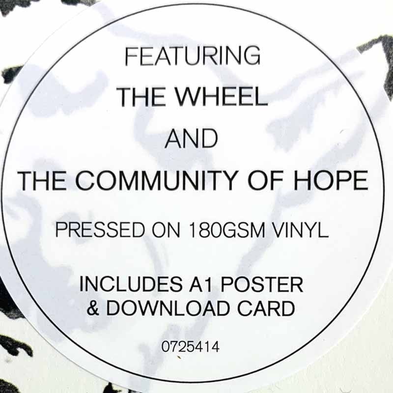 PJ Harvey LP The Hope Six Demolition Project - LP