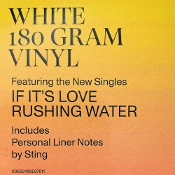 Sting LP The Bridge - white vinyl - LP