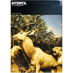 Interpol - Our love to admire 2007  Promojuliste 51cm x 70cm Begagnat Poster