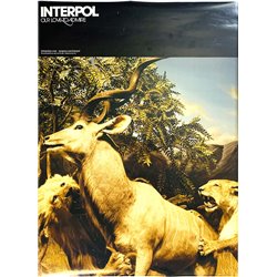 Interpol – Our Love To Admire 2007  Promo poster 51cm x 70cm Begagnat Poster