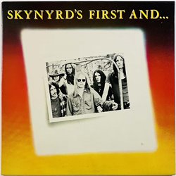 Lynyrd Skynyrd LP Skynyrd's First And... Last  kansi EX levy EX Käytetty LP