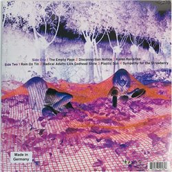 Sonic Youth LP Murray Street LP