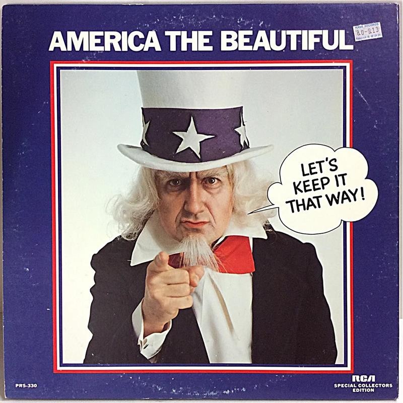 Various Artists: America The Beautiful 2LP - Käytetty LP EX- / EX-