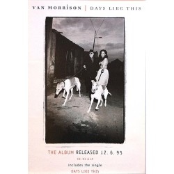 Morrison Van: Days Like This : Promojuliste 47cm x 71cm - JULISTE