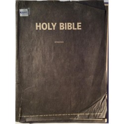 Maximum rockandroll : Holy Bible of Punk Rock - begagnade magazine