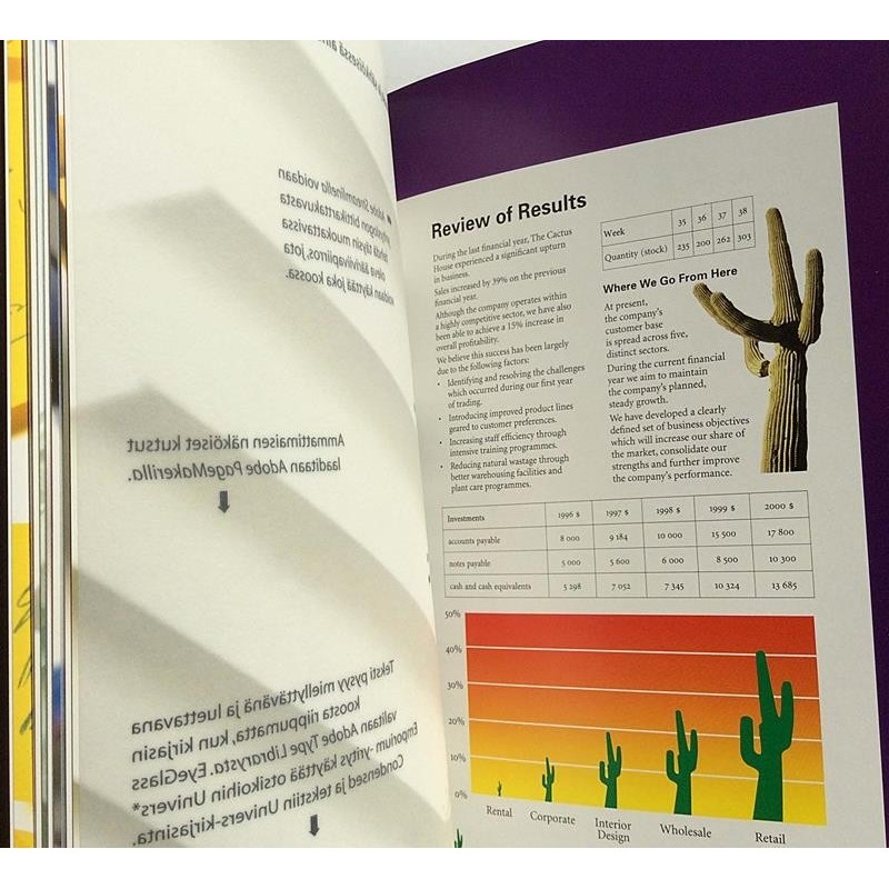 Adobe solutions: Ammattimaista grafiikkaa  kansi EX sisäsivut EX Käytetty kirja