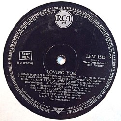 Elvis: Loving You  kansi Ei kuvakantta levy G- kanneton LP